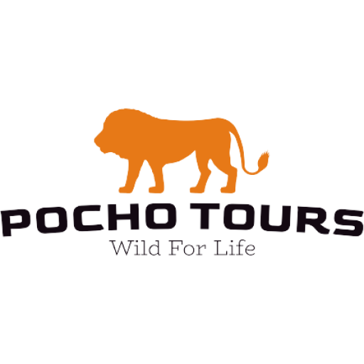 cropped-cropped-pocho-tours-logo-removebg-preview-1-e1673773812515.png