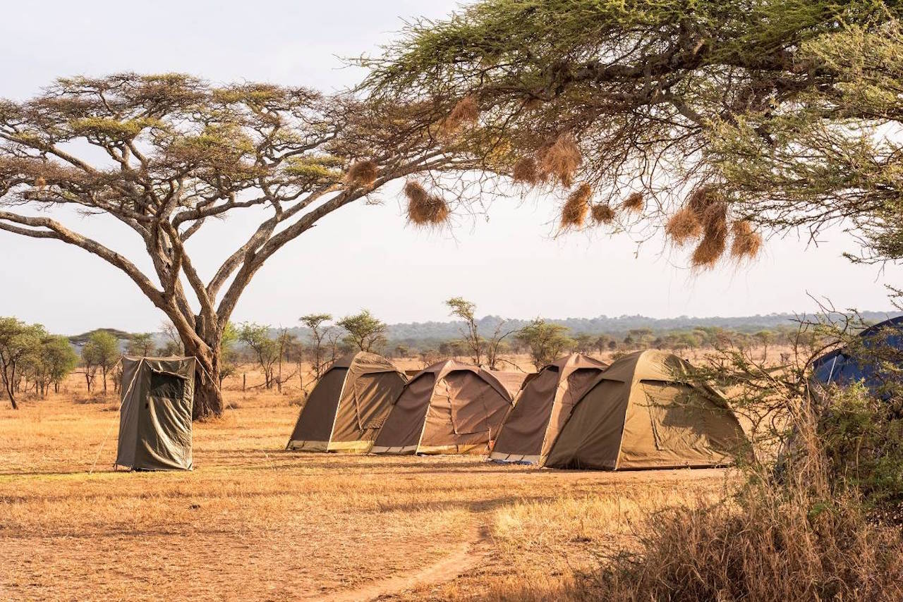 3-days-budget-camping-safari-tanzania